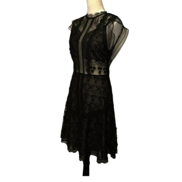 Alexis Sleeveless Lace Nude Mini Dress Black Large L - Picture 9 of 12
